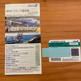 エーエヌエー(ゼンニッポンクウユ)(ANA(全日本空輸))のANA 株主優待(その他)