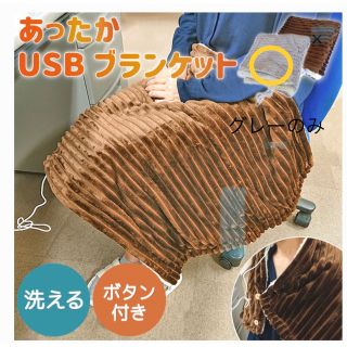 あみ♡さん専用　　ホットブランケット　USB (電気毛布)