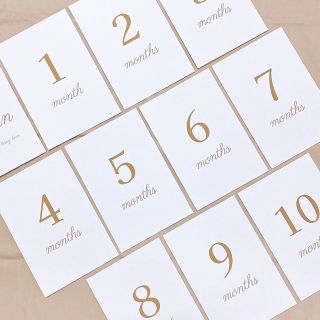 Simple ꙳ 選べるカラー 月齢カード ♡ 15枚セット(その他)