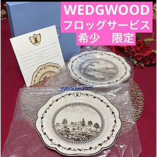 ウェッジウッド(WEDGWOOD)の希少★ウェッジウッド　ジーニアスコレクション　フロッグサービス　プレート　未使用(食器)