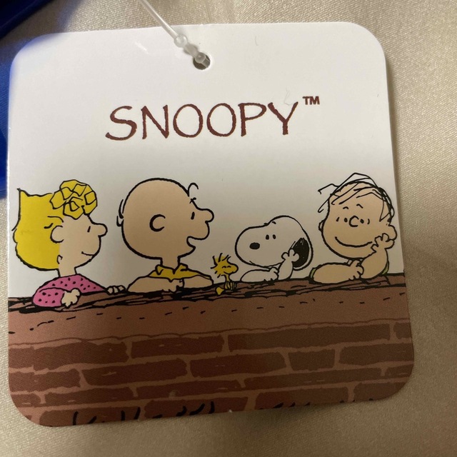 SNOOPY(スヌーピー)のSNOOPY 角型ポーチ　クリアタイプ エンタメ/ホビーのおもちゃ/ぬいぐるみ(キャラクターグッズ)の商品写真