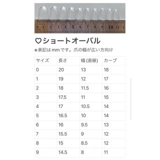 【オーダー】メタモン パステル ユニコーン ネイルチップ ハンドメイドのアクセサリー(ネイルチップ)の商品写真