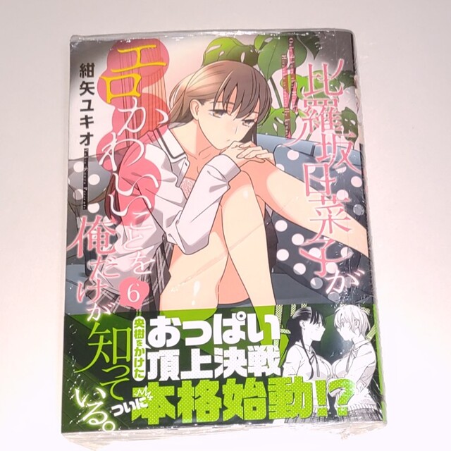 比羅坂日菜子がエロかわいいことを俺だけが知っている。 6 エンタメ/ホビーの漫画(青年漫画)の商品写真
