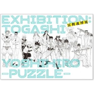 冨樫義博展 PUZZLE 公式図録 第一刷 フライヤー付　パンフレット カタログ(イラスト集/原画集)