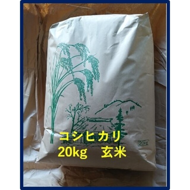 コシヒカリ玄米30kg(農協出荷は一等米)山形県産　令和４年産-