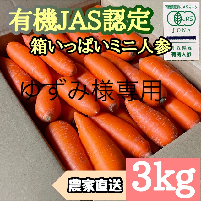 有機完全無農薬②3kgミニにんじん | visitsantaflavia.it