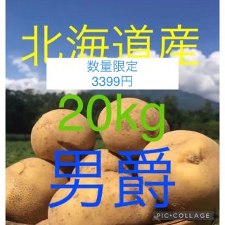 北海道産じゃがいも男爵20kg(野菜)