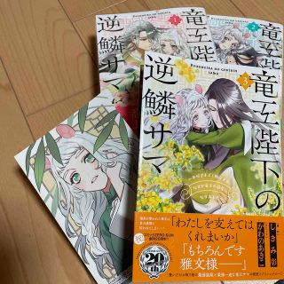 竜王陛下の逆鱗サマ 本好きネズミ姫ですが、なぜか竜王の最愛になりました １(その他)