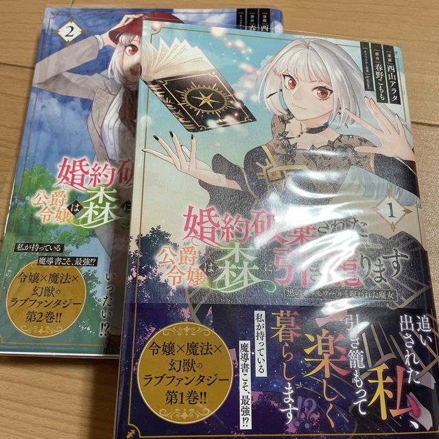 婚約破棄された公爵令嬢は森に引き籠ります 黒のグリモワールと呪われた魔女 ２ エンタメ/ホビーの漫画(その他)の商品写真