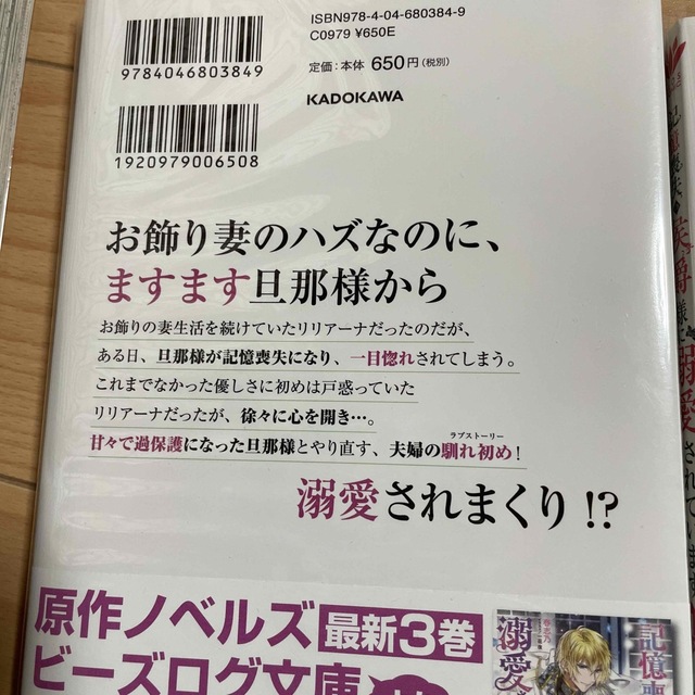 ⭐️専用　記憶喪失の侯爵様に溺愛されています これは偽りの幸福ですか？ １〜4 エンタメ/ホビーの漫画(その他)の商品写真