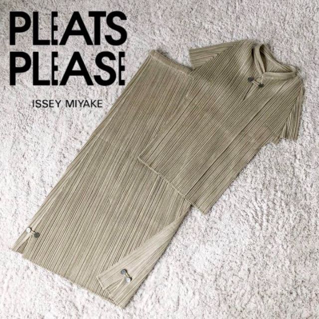 PLEATS PLEASE ISSEY MIYAKE(プリーツプリーズイッセイミヤケ)の【2点セット】プリーツプリーズ チャイナ風 カットソー スカート イッセイミヤケ レディースのトップス(アンサンブル)の商品写真