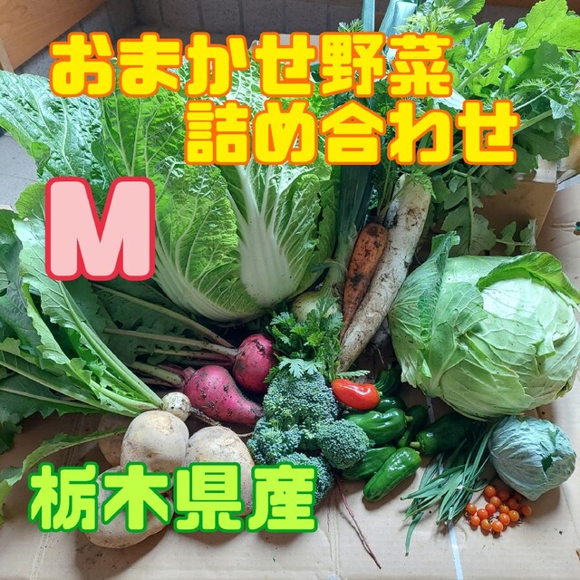 おまかせ野菜詰め合わせBOX【M】 食品/飲料/酒の食品(野菜)の商品写真