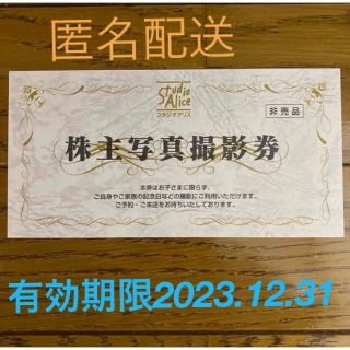 スタジオアリス　株主優待券　有効期限2023年12月31日(その他)