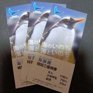 山口　下関　海響館 特別ご優待券3枚(水族館)