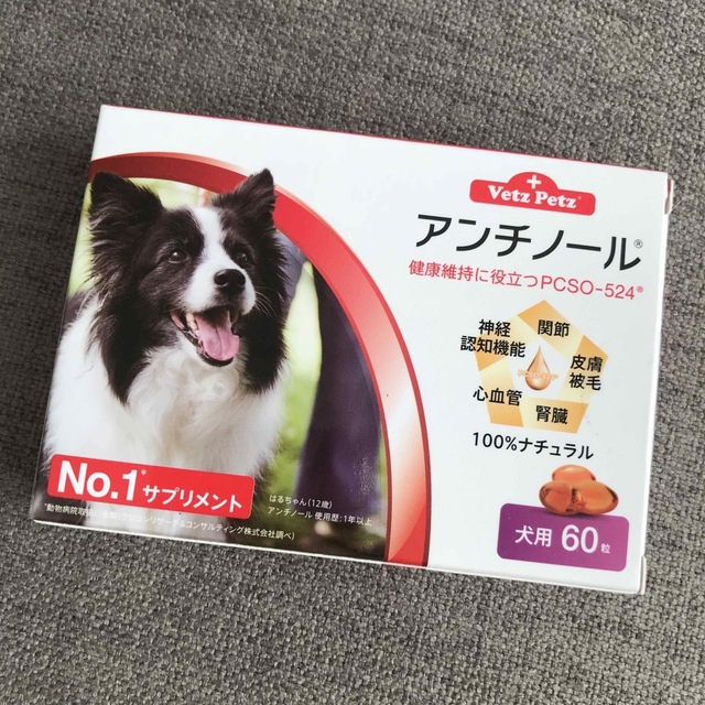 犬用アンチノール60粒入人気サプリメント関節皮膚被毛健康高齢犬