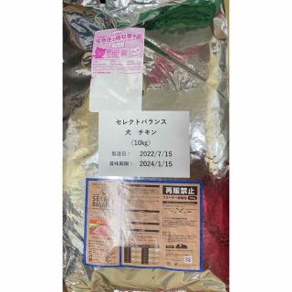 セレクトバランス 成犬用アダルトチキン グレインフリー 10kg - その他
