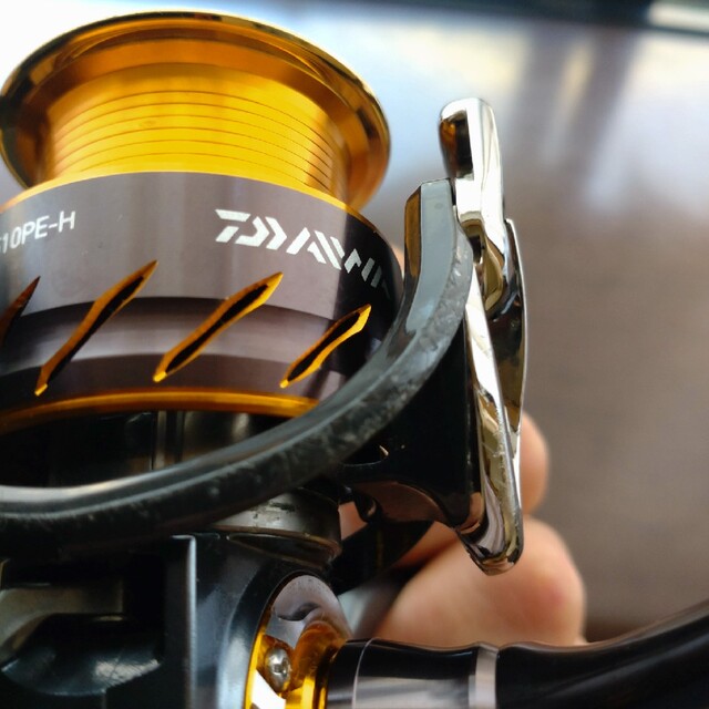 DAIWA(ダイワ)の１３セルテート2510PE-H スポーツ/アウトドアのフィッシング(リール)の商品写真