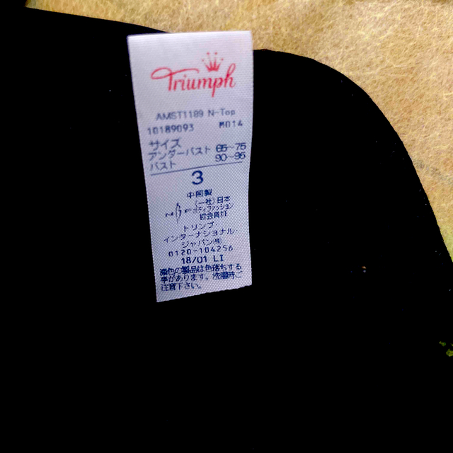 Triumph(トリンプ)のトリンプ　アモスタイル　など　3点セットで レディースの下着/アンダーウェア(その他)の商品写真