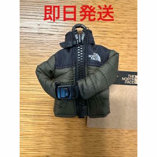 ザノースフェイス(THE NORTH FACE)のTHE NOTHE FACE ミニヌプシジャケット(キーホルダー)