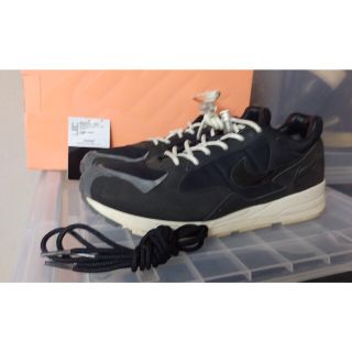 フィアオブゴッド(FEAR OF GOD)のタグ 箱 ナイキ フェア オブ ゴッド エア スカイロン Ⅱ FOG 27.5(スニーカー)