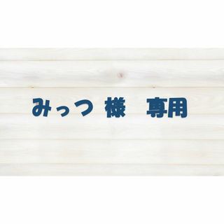 みっつ様　専用(その他)