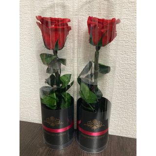 プリザーブドフラワー バラ 薔薇 2本セット(プリザーブドフラワー)