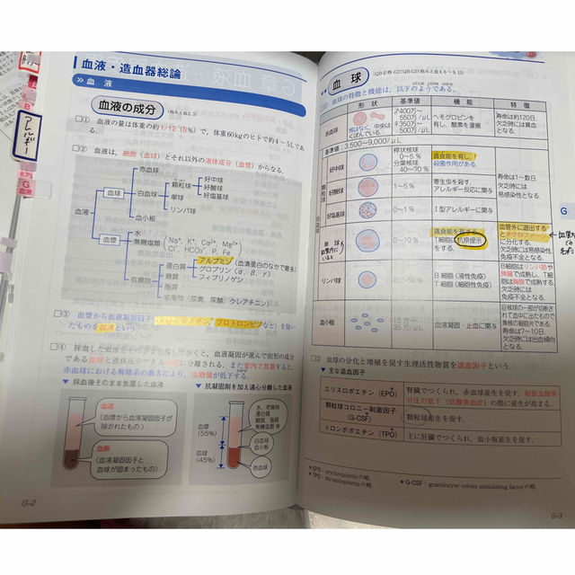 看護師・看護学生のためのレビューブック ２０２２ 第２３版 エンタメ/ホビーの本(資格/検定)の商品写真