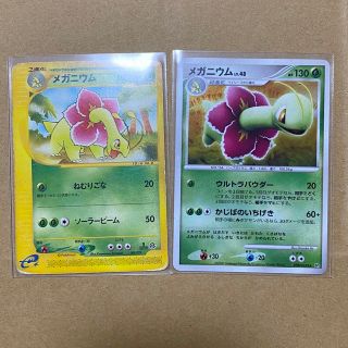 ポケモン(ポケモン)のポケモンカード　メガニウム(シングルカード)