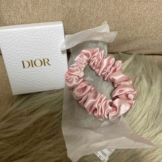 ディオール(Dior)のDior ノベルティシュシュ(ノベルティグッズ)