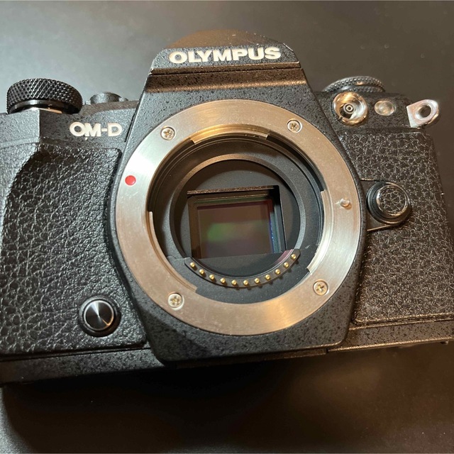 OLYMPUS OM−D E−M5 Mark 2 ジャンク扱い