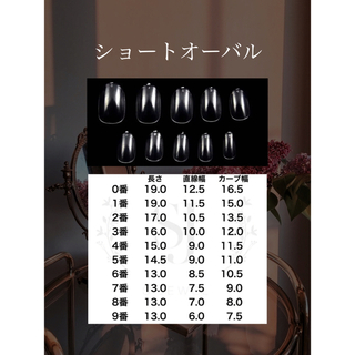 【あかめ様専用】透け感マグネットネイルチップ 韓国 ギャラクシー 綺麗系 ハンドメイドのアクセサリー(ネイルチップ)の商品写真