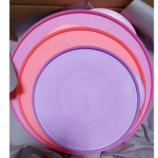 タッパーウェア(TupperwareBrands)のタッパーウェア　シールのみ(容器)