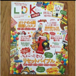 LDK (エル・ディー・ケー) 2018年 10月号(生活/健康)