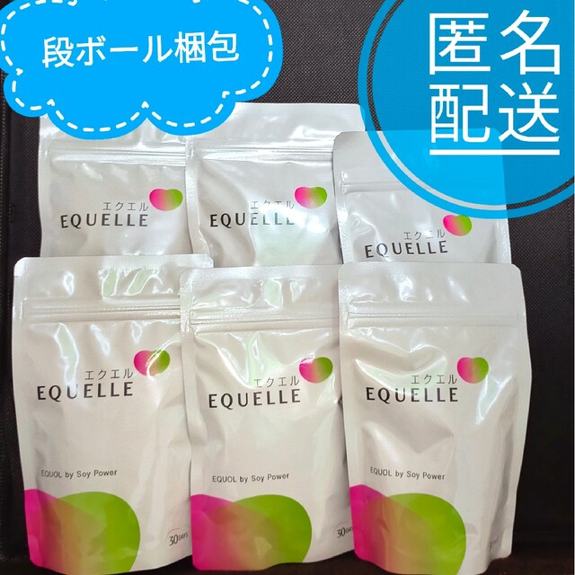 エクエル 大塚製薬 EQUELLE サプリメント 120粒 6袋 新品未開封