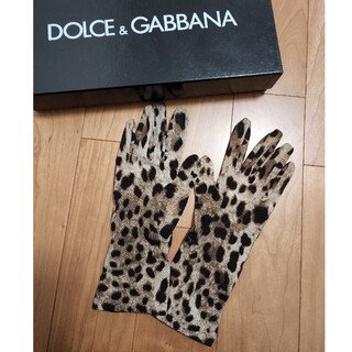 ドルチェ&ガッバーナ(DOLCE&GABBANA) 手袋(レディース)の通販 25点 