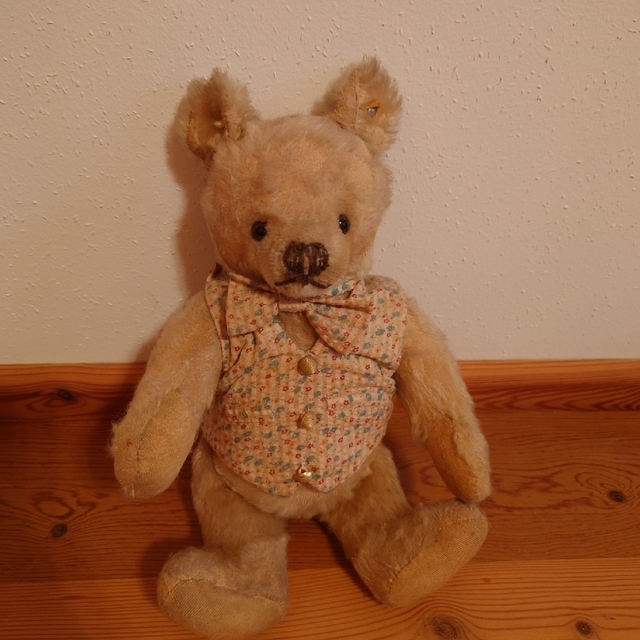 注目ブランド Steiff - Steif Teddybear Antique シュタイフ