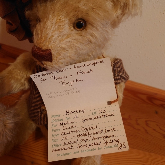 テディベア Teddybear Collectors Bear | visitsantaflavia.it