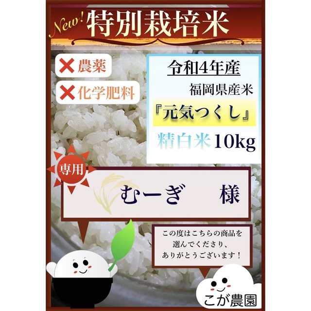 くるみ様専用商品です。リノペル れんげ米 令和6年新米 きぬひかり 5kg×2希少米 無洗米。 新米 白米コシヒカリ20kg(1割減) 4 /6袋 くるみ様専用商品です。会津産 コシヒカリ 30kg 令和6年産 米専用玄米貯蔵 新品箱にて配送。 新米 白米コシヒカリ20kg(1割減) 4 /6袋