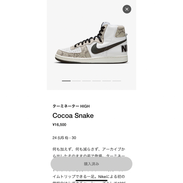 NIKE(ナイキ)のターミネーターハイ　cocoa snake 28 メンズの靴/シューズ(スニーカー)の商品写真