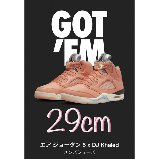 Khaled Nike Jordan 5 DJキャレド ジョーダン5 29cm