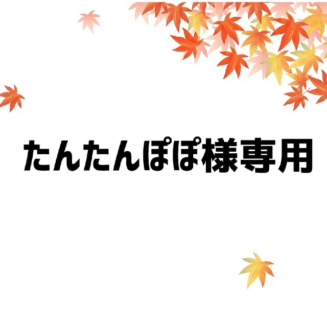 たんたんぽぽ様専用ページ ありがとうございました。の通販 by りゅう