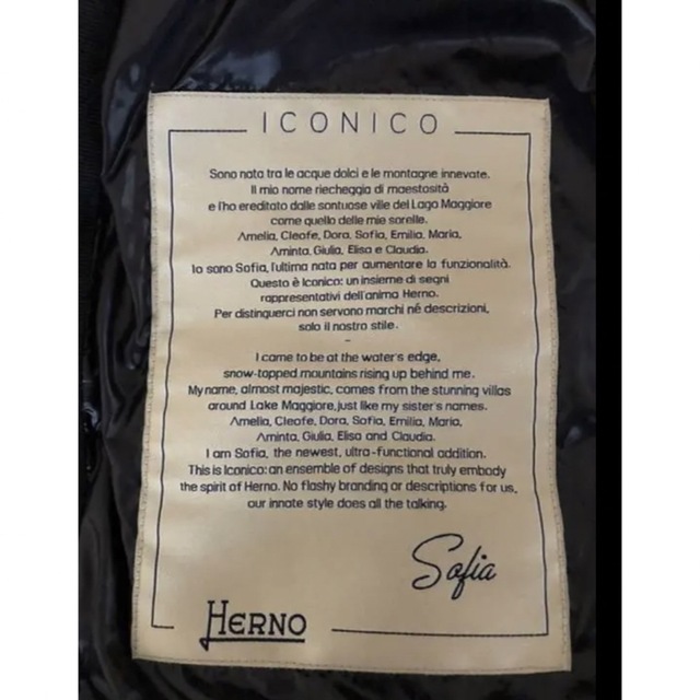 HERNO(ヘルノ)のヘルノ⭐︎ショートダウン⭐︎サイズ44⭐︎ブラック⭐︎美品 レディースのジャケット/アウター(ダウンジャケット)の商品写真