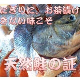 北海道産秋鮭（10切）秋鮭は北海道生れ。大衆的・伝統的な日本の鮭です。(魚介)