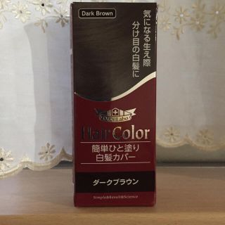 ドクターシーラボ(Dr.Ci Labo)の未使用 ドクターシーラボ  簡単ひと塗り白髪カバー ダークブラウン (白髪染め)