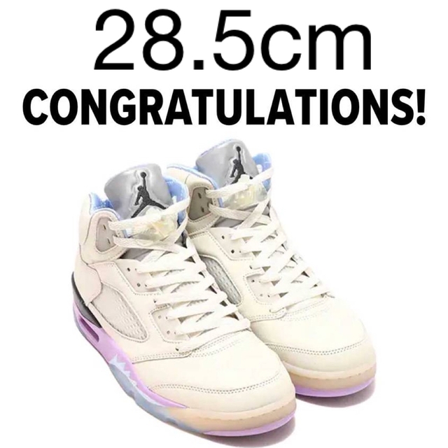 DJ Khaled Nike Air Jordan 5 Sail 28.5cm靴/シューズ