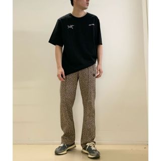 アークテリクス(ARC'TERYX)の【新品・未開封】ARC'TERYX Tシャツ(Tシャツ/カットソー(半袖/袖なし))