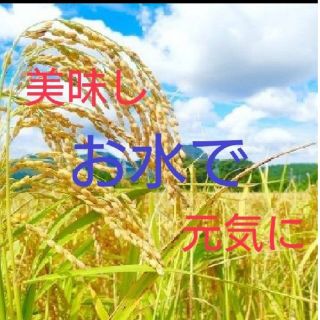 新米🌾、R4年産、お米精米済み、お得(米/穀物)