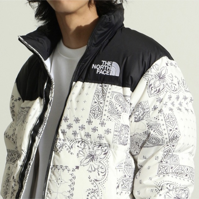 新品 THE NORTH FACE M'S NOVELTY NUPTSE ヌプシ