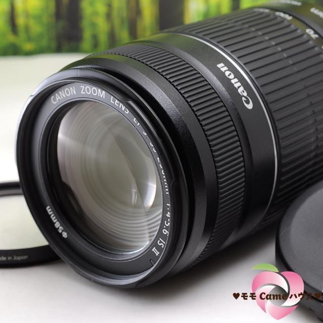 Canon EF-S 55-250mm☆手ブレ補正つき望遠レンズ☆3279-1 高評価の ...