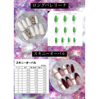 ブラックフレンチストーンとパイソン柄マットネイルチップ︎☺︎ ハンドメイドのアクセサリー(ネイルチップ)の商品写真